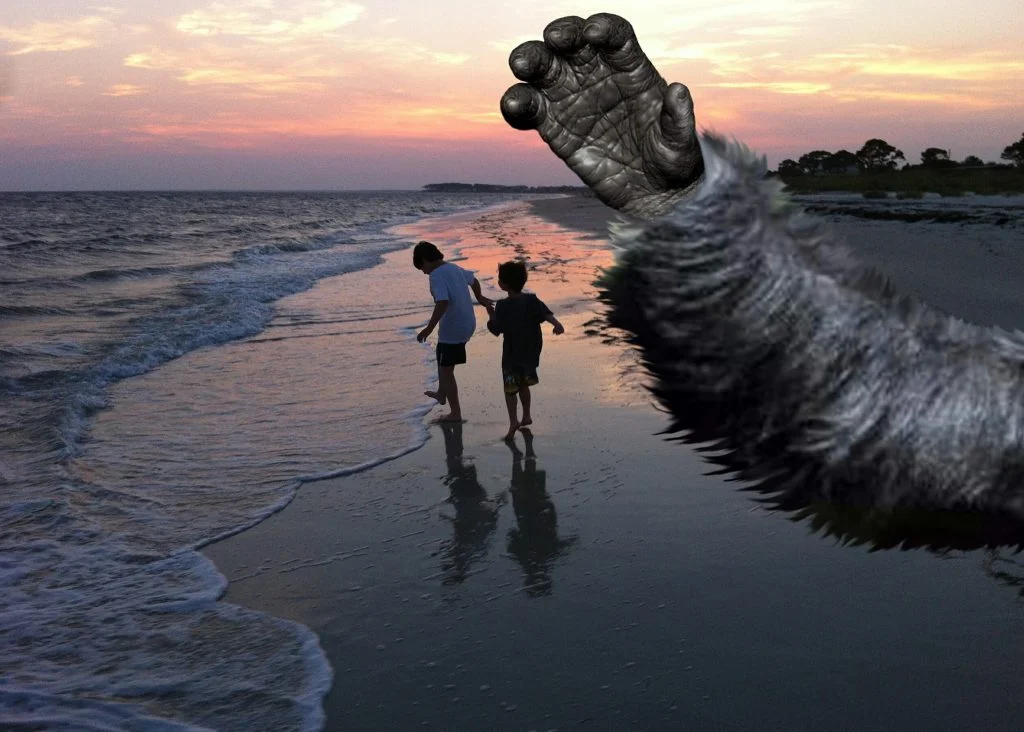 Hairy Gorilla Arm - Marshall Atkinson