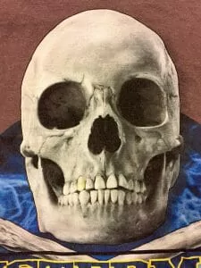 Screen-printing is a lion Digital printing is a cheetah