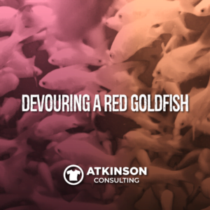 Devouring a Red Goldfish